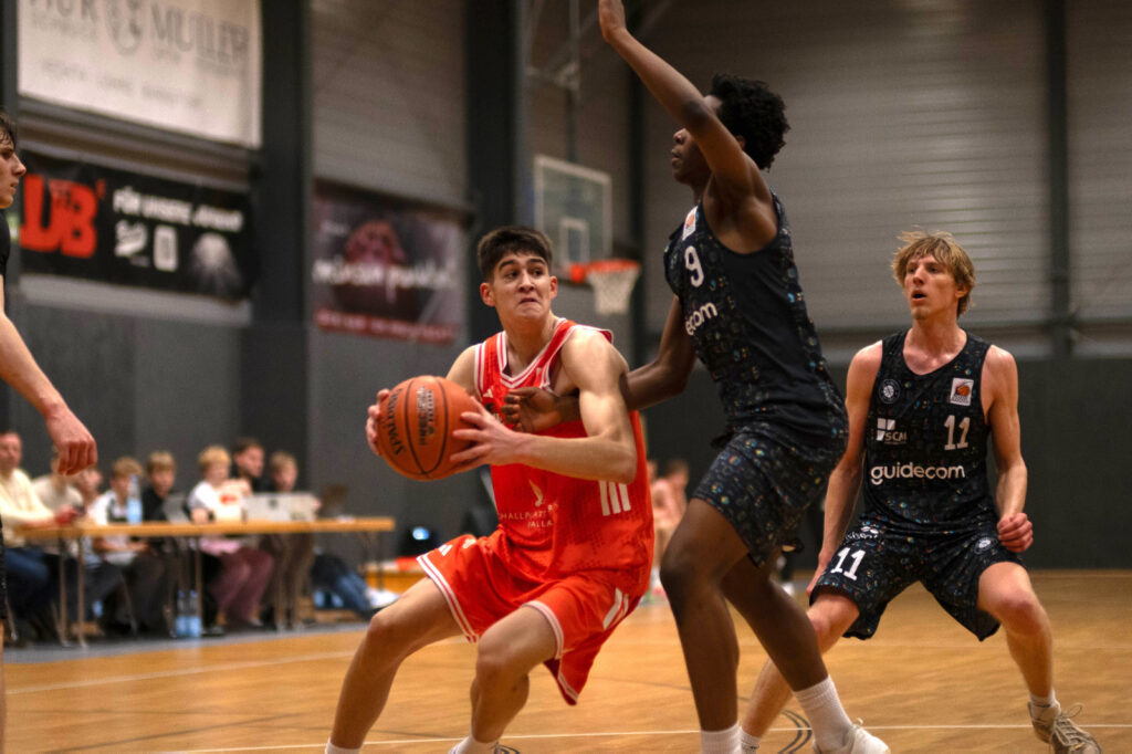 Nbbl schlägt Vechta überraschend