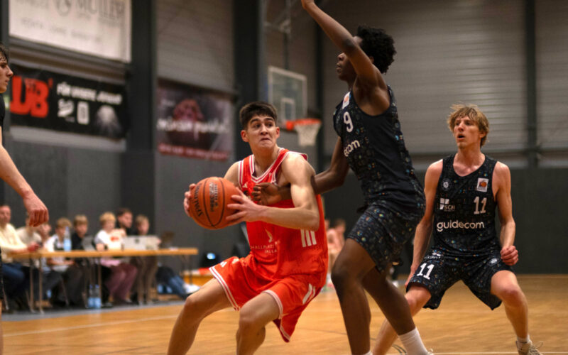 Nbbl Vechta Nbbl Vechta